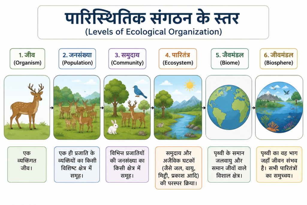 पारिस्थितिकी