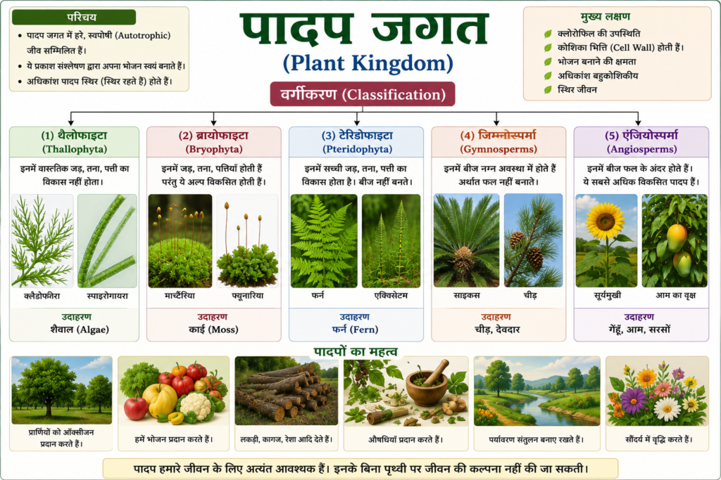 पादप जगत (Plant Kingdom)