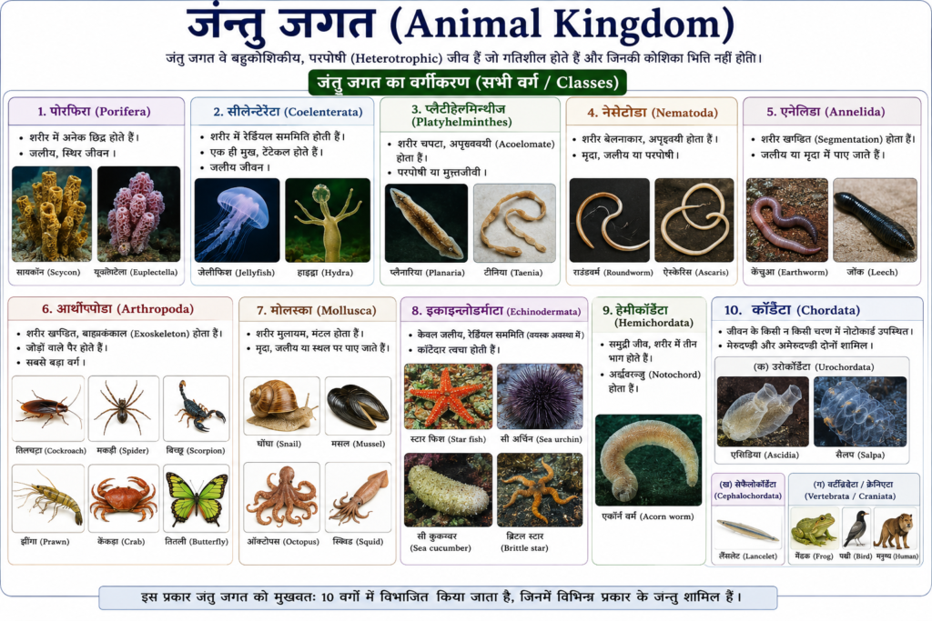 जंतु जगत (Animal Kingdom)