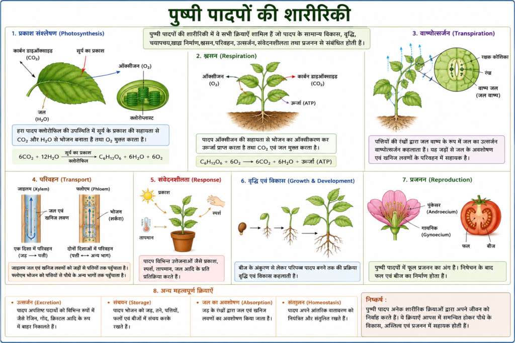 पुष्पी पादपों की शारीरिकी