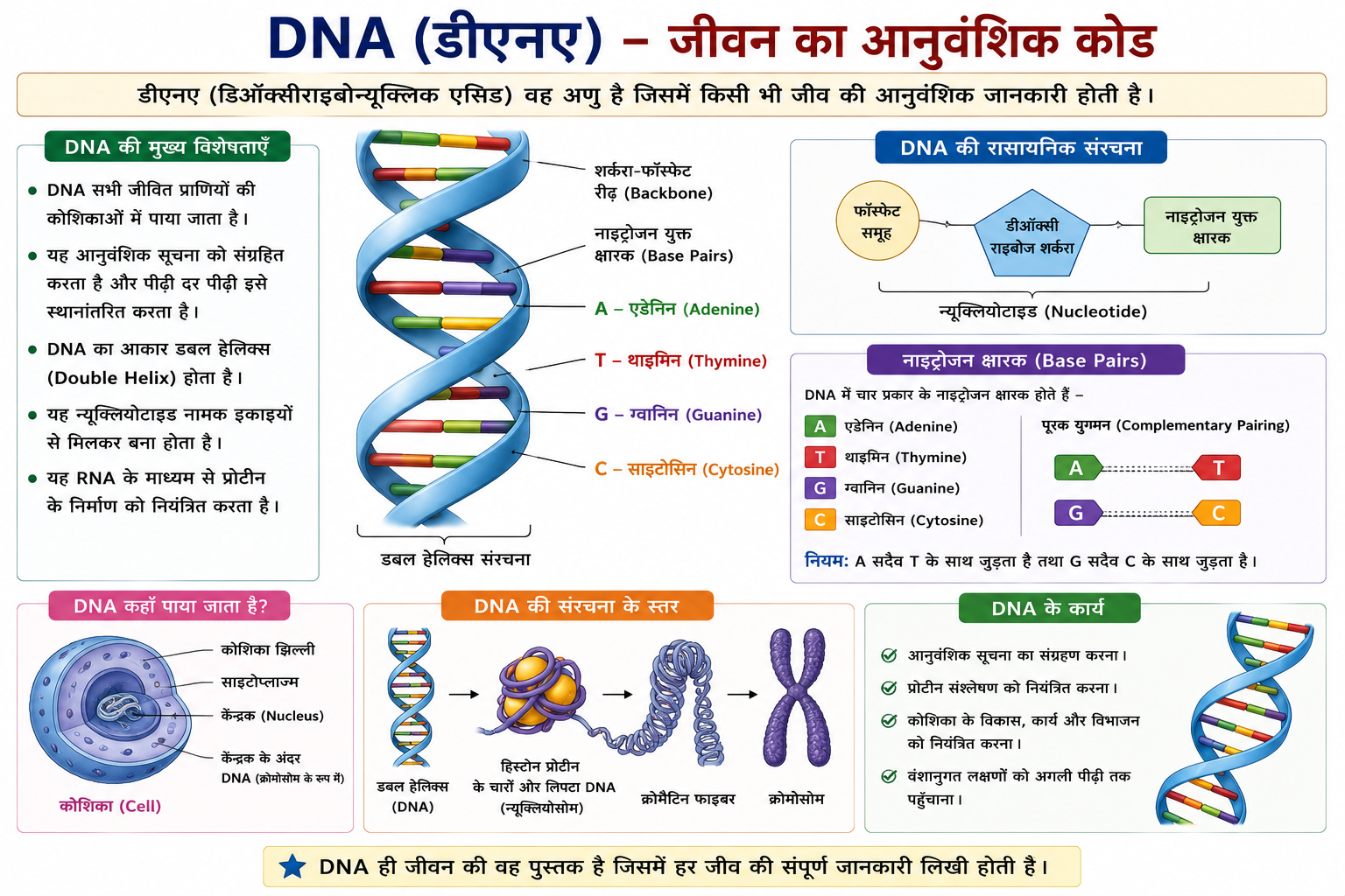 DNA