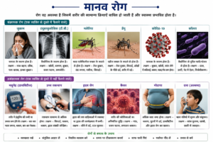मानव रोग